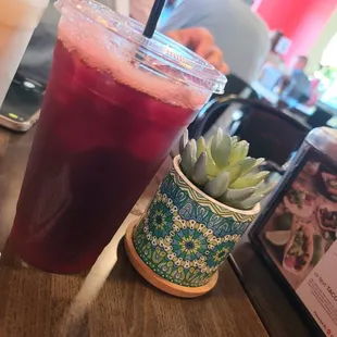 Agua Jamaica