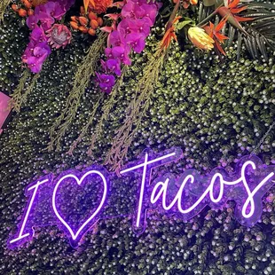 Just a little shot of the cool wall~