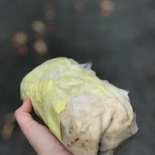 a hand holding a burrito