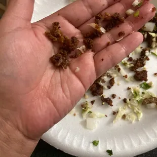Tripa taco &quot;bacon bits&quot; :(