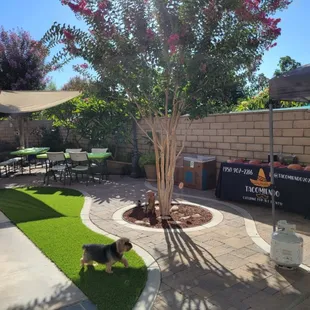 Serving a beautiful family gathering!!