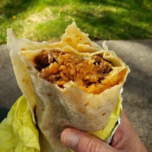 Carnitas burrito