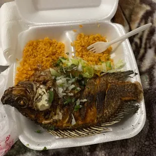 a fish in a styrofoam container