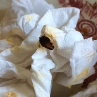 Huevos ala Ranchera Breakfast