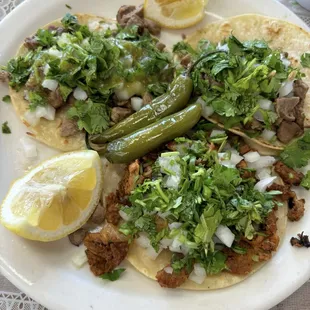 Taco chico carne asada and al pastor