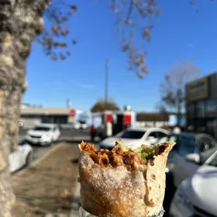 a hand holding a burrito