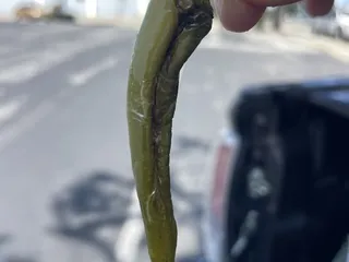 Taqueria Nochistlan