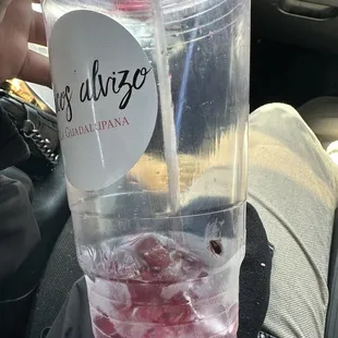 A photo of a bug in my drink HOW DISGUSTING AND UNSANITARY.