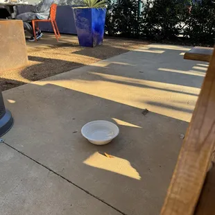 Dog friendly - bowl of water provided