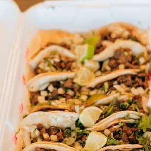 Taco 12 Pack