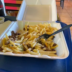 Carne asada fries