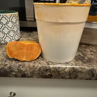 2 big pieces of bone and no meat