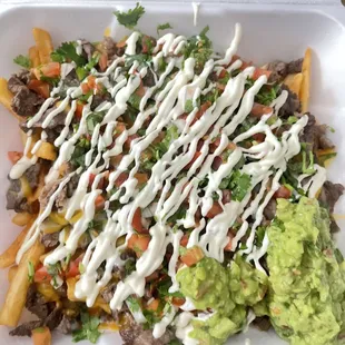 Carne Asada fries