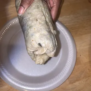 Mold on my burrito !!!