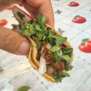 Taco de Lengua -- GOOD