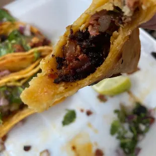 a hand holding a taco