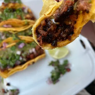 a hand holding a tortilla