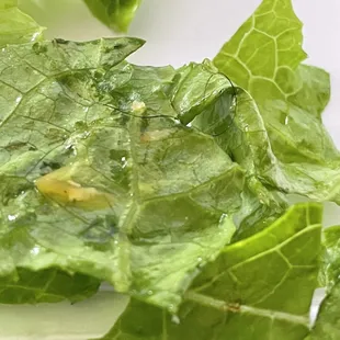 HAIR IN FOOD