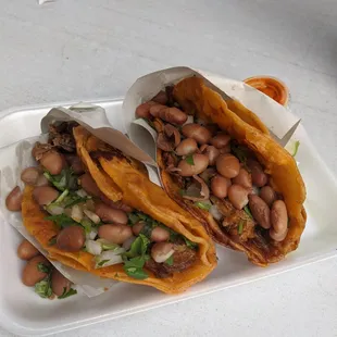 Tacos dorado birria