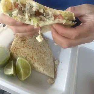 Chicken quesadilla
