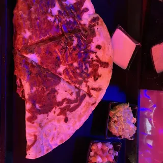 Quesadilla
