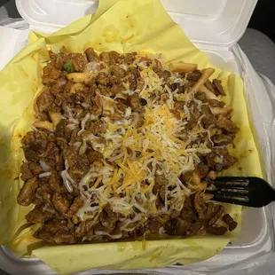 This was my fries regular but I got way more meat than my boyfriend that ordered extra