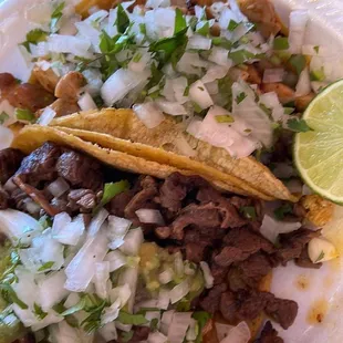 Carne asada and pollo asado tacos.