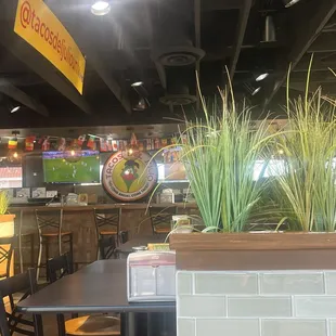 Inside restaurant