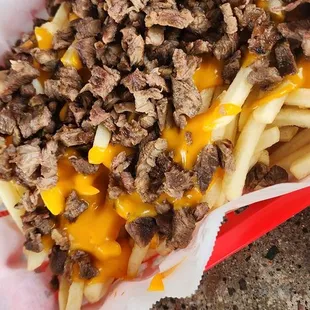 Carne Asada Fries