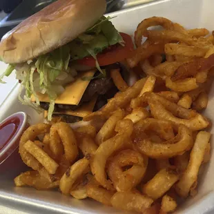 a hamburger and french fries