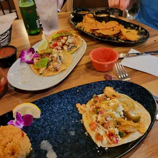 Ceviche, Maya tacos, and birria tacos