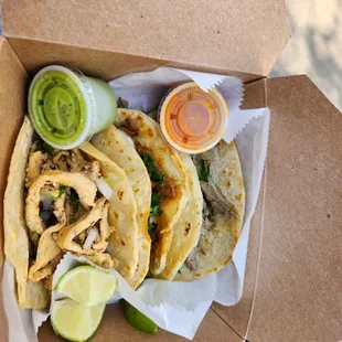 Tacos Don Coyotl