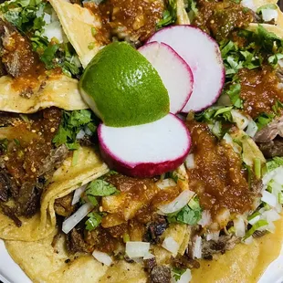 Carnitas Tacos