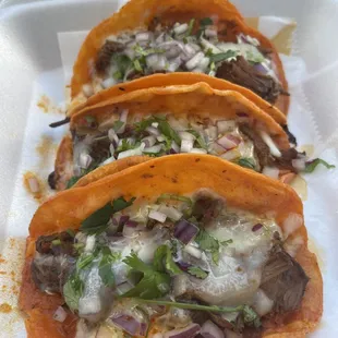 The Birria Tacos are a must try!