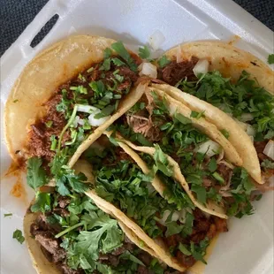Taco sampler3