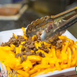 Asada fries