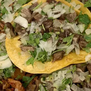 Lengua
