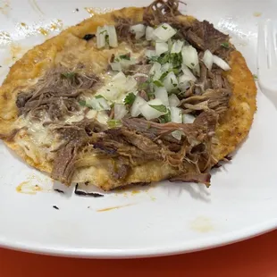 Shredded Beef