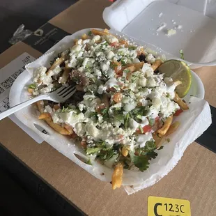 Carne asada fries