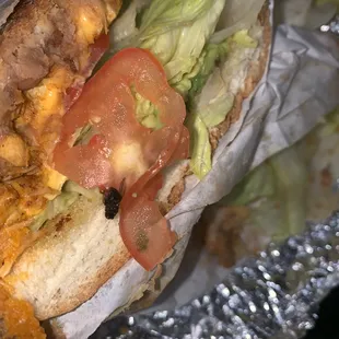 Chicken torta with a side of a fly ! DISGUSTING