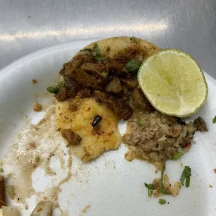 Was having a pastor taco with a nasty fly