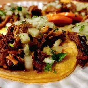 Carnitas Taco