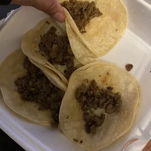 Asada $1 tacos