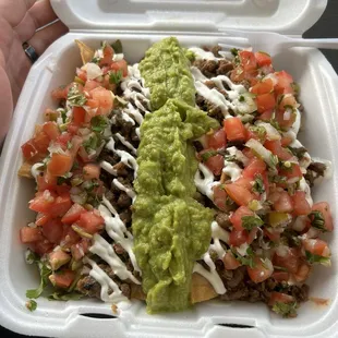 Carne Asada Nachos