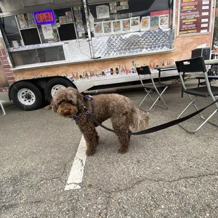 The truck and plenty of seating