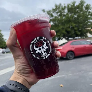 Agua Fresca - Jamaica (TikTok: @justandyvu)