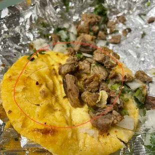 Carne asada Taco with a hair