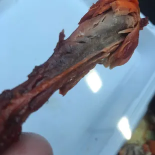 chicken