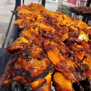 Pollo
