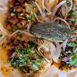 Al pastor taco special, flavorful meat, greasy